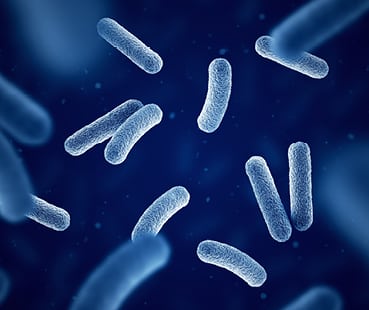 E-learning listeria beheersen